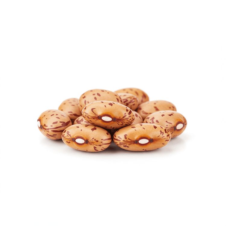 dried pinto bean