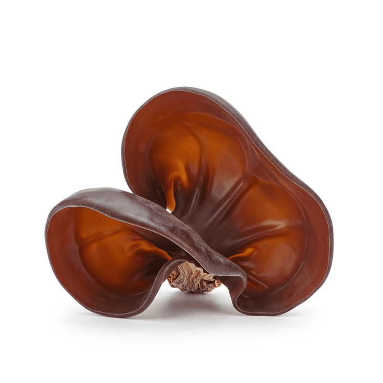 dried wood ear mushroom