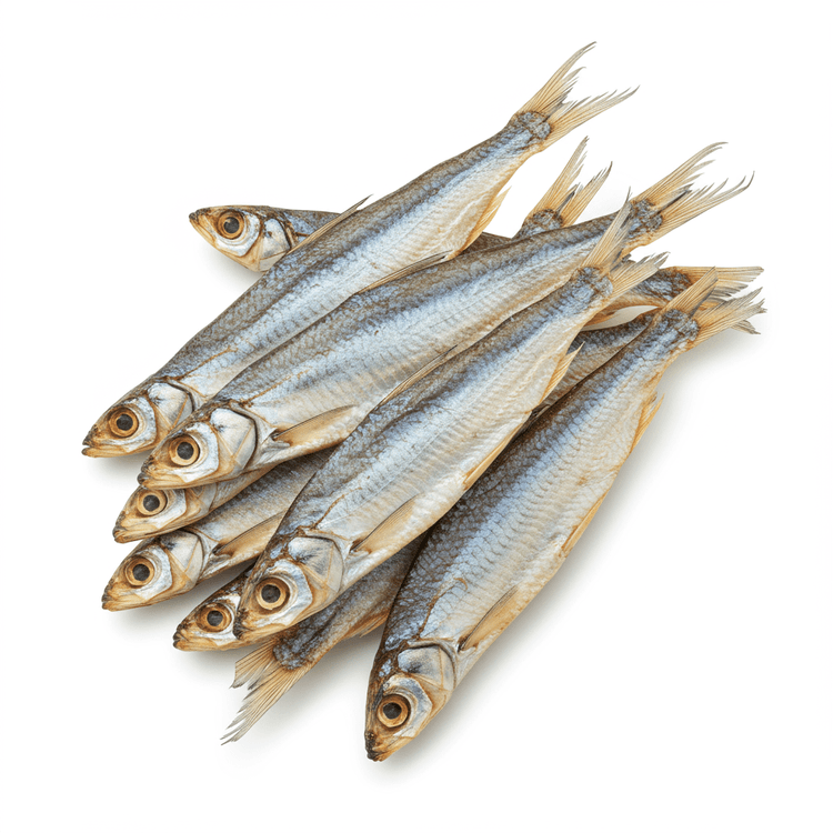 dry fish
