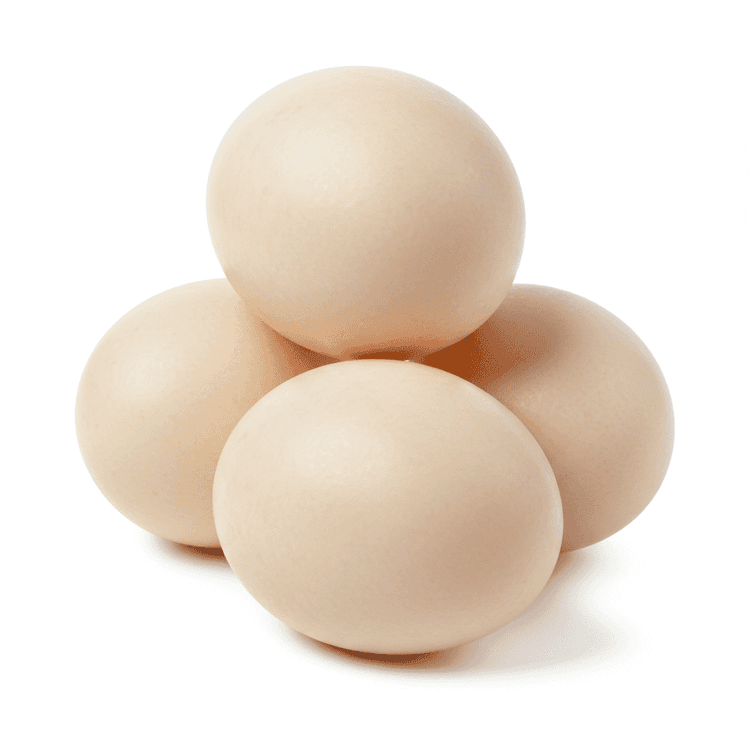 duck egg