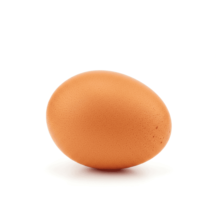 egg