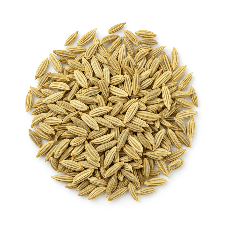 fennel seed