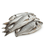 sliced fish (sardines, mackerel, seer fish, or pomfret)