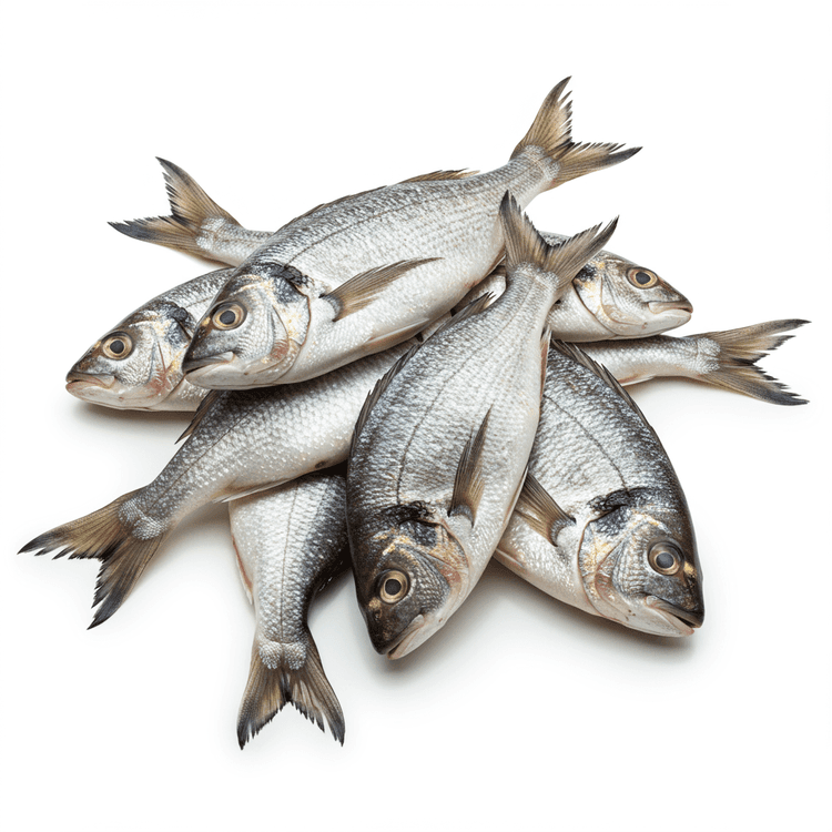 fish