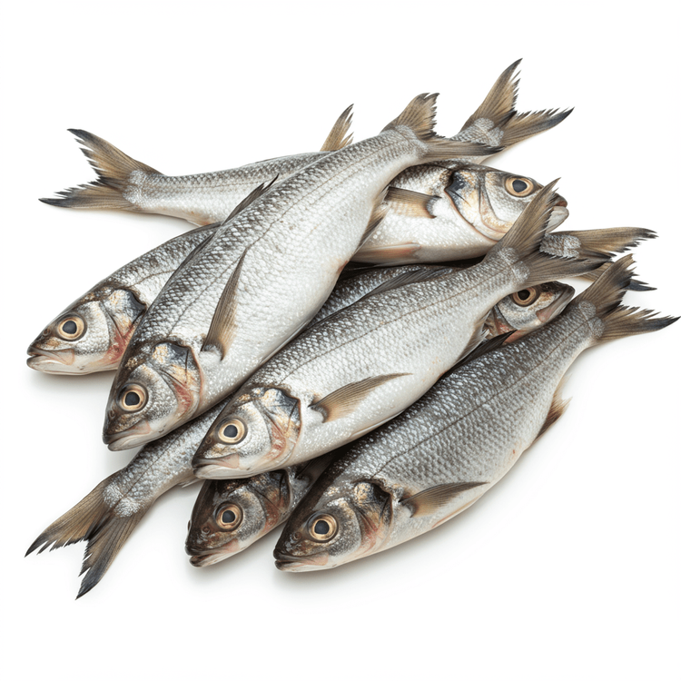 fish