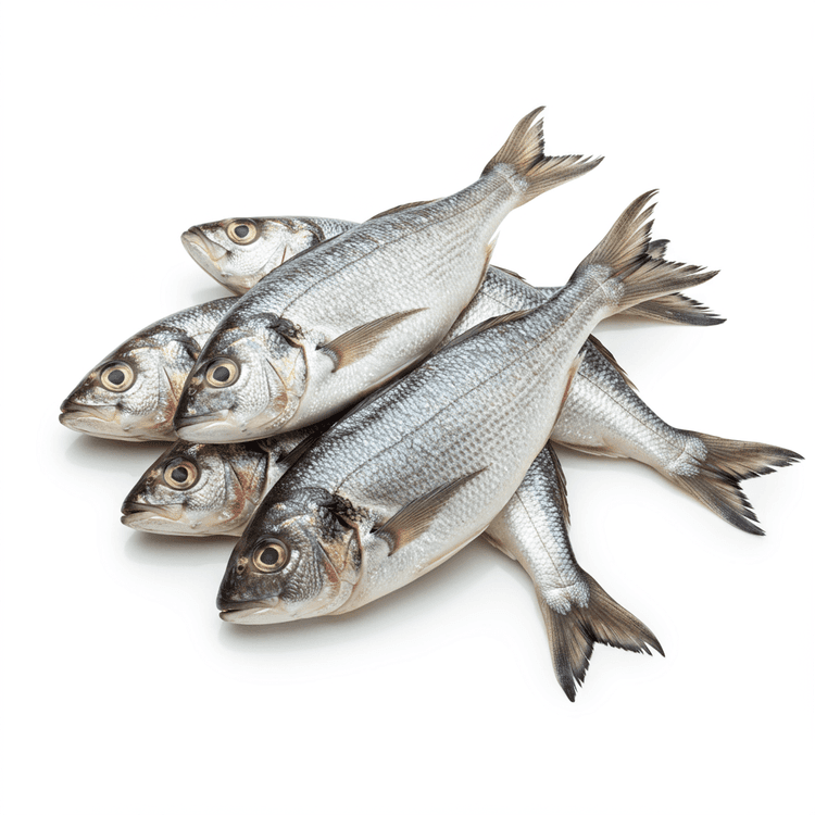 fish