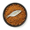 fish spice