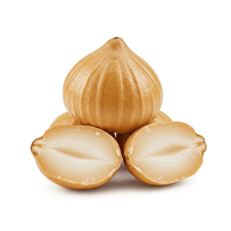 foxnut