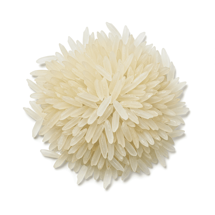 fresh basmati rice
generic name: rice