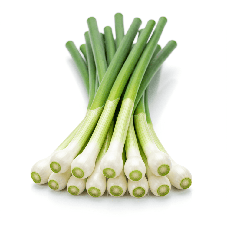 garlic chive