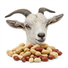 goat head 