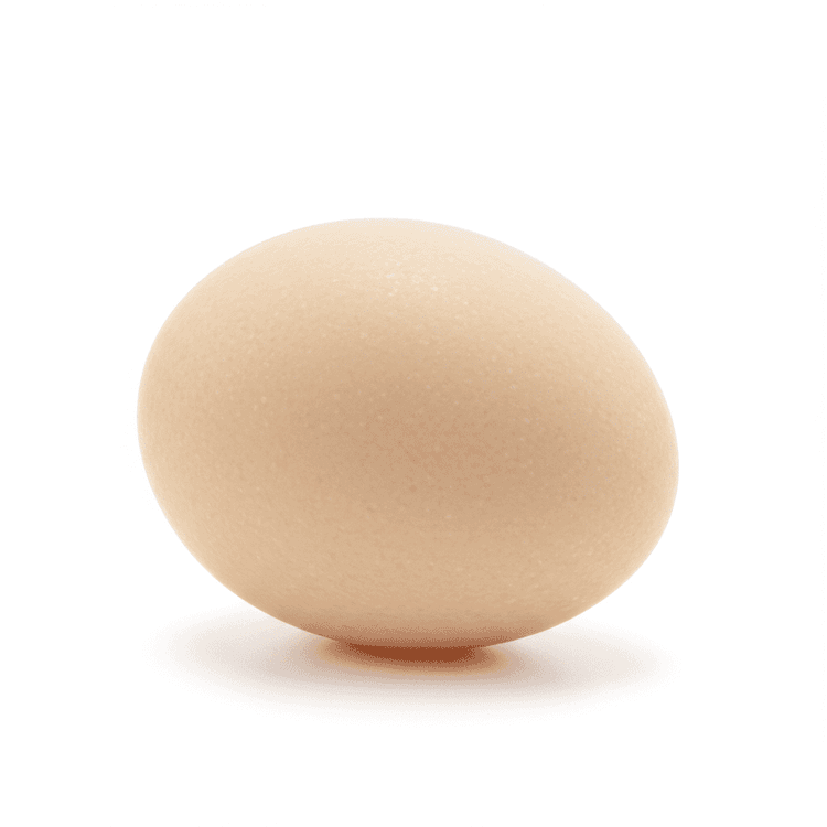 goose egg