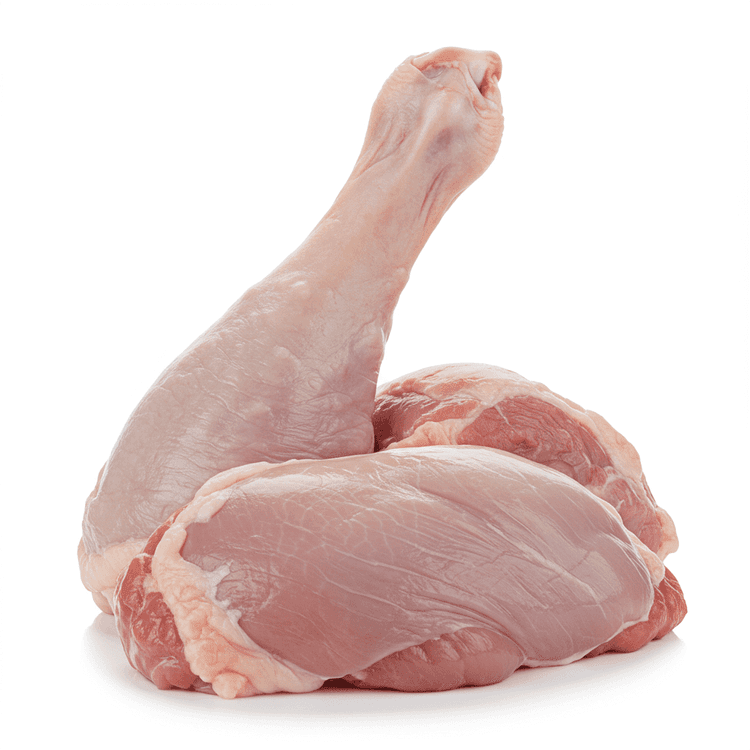 goose leg