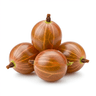amla/gooseberry