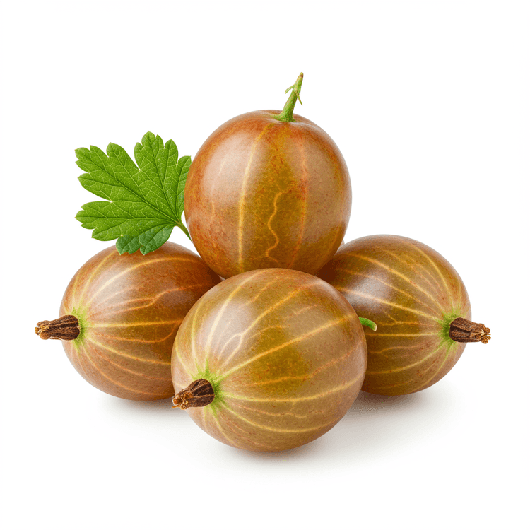 gooseberry