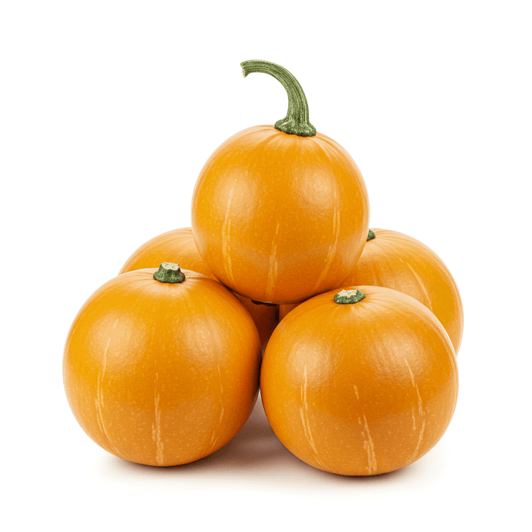 gourd