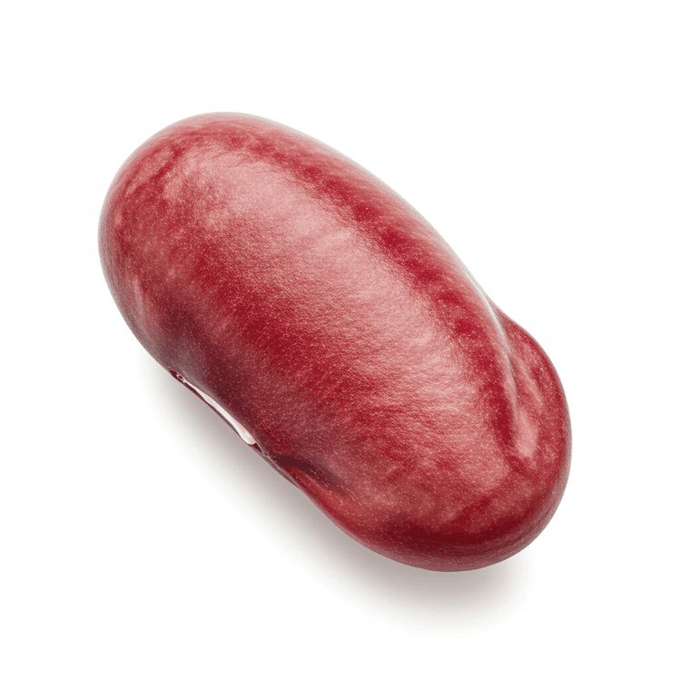 great northern bean