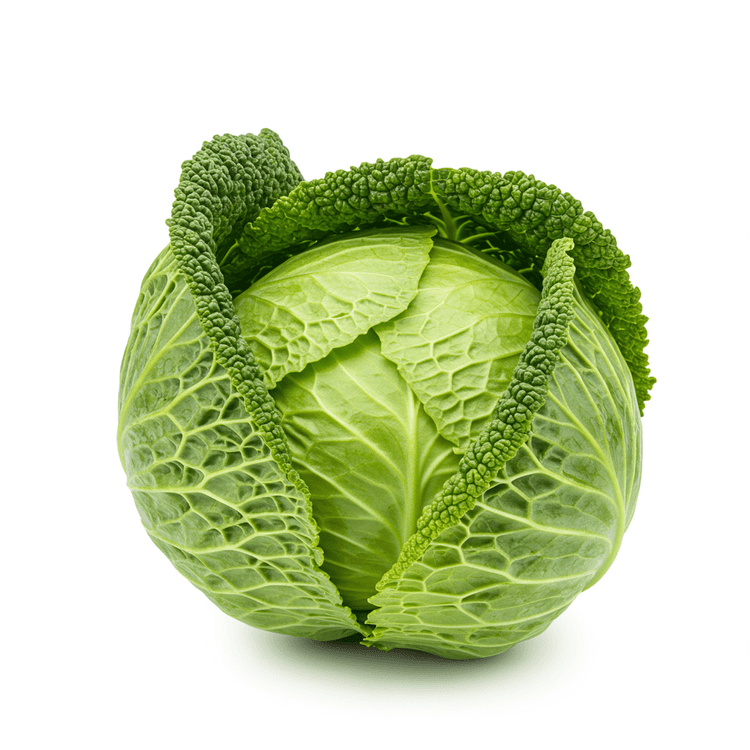 green cabbage