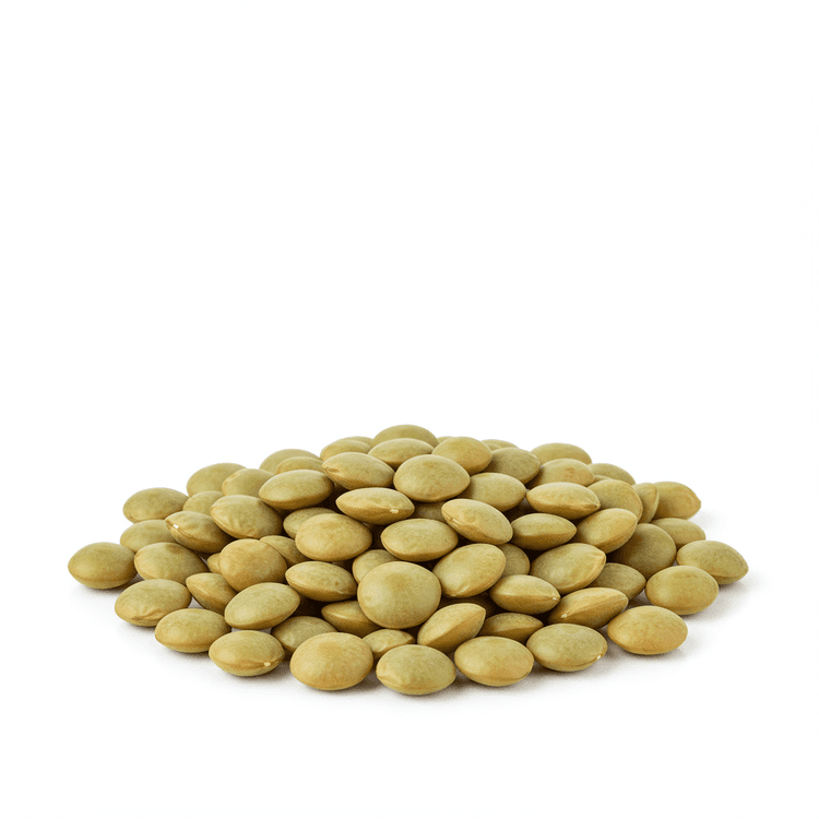green lentil