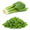 greens (kale or collard greens)