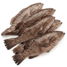 boneless grouper fillets