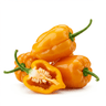 habanero chilies