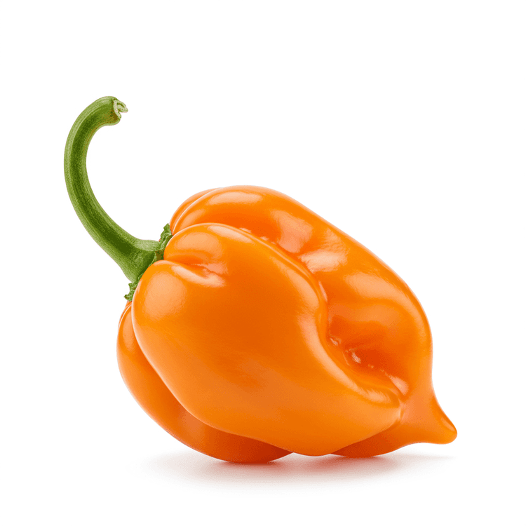 habanero pepper