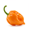 medium habanero pepper, stemmed, seeded and minced