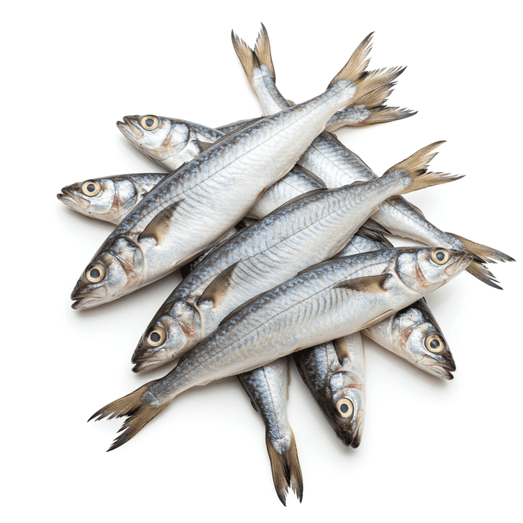 hake