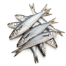 hake