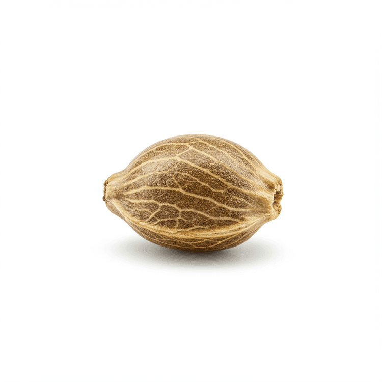hemp seed