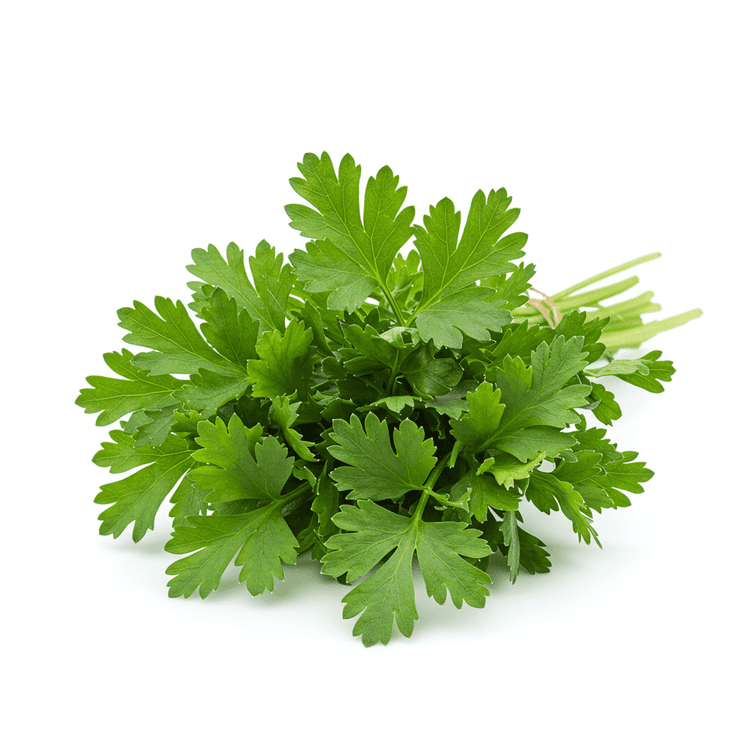 Herb