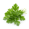 Herb spice
