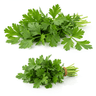 Fresh herbs