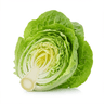Iceberg lettuce, rinsed and chopped