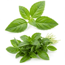 Italian herbs