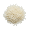 of jasmine rice