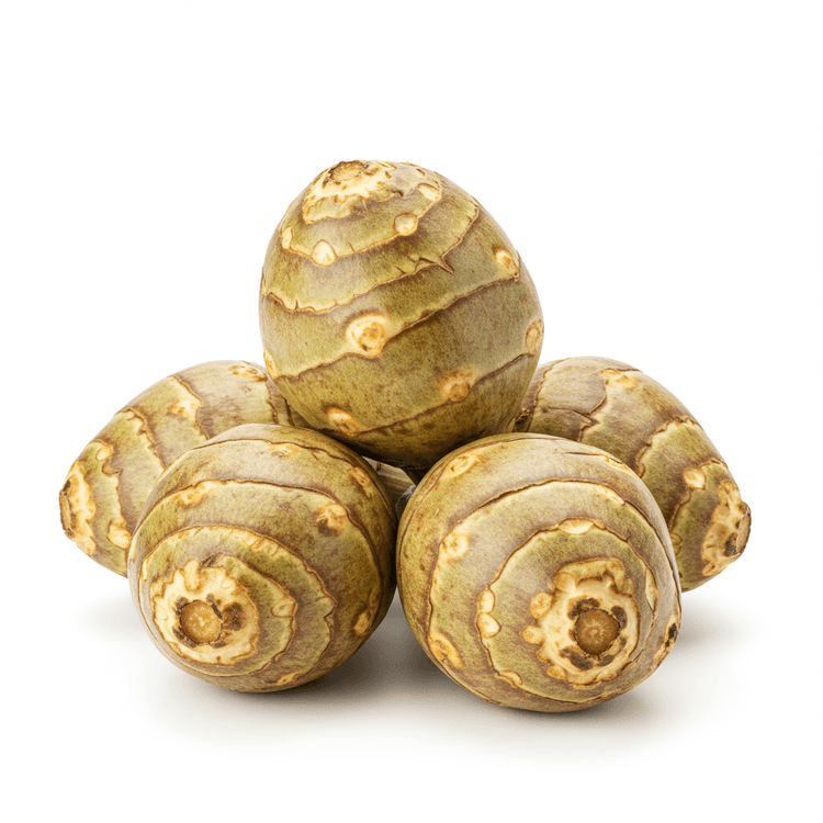 jerusalem artichoke
