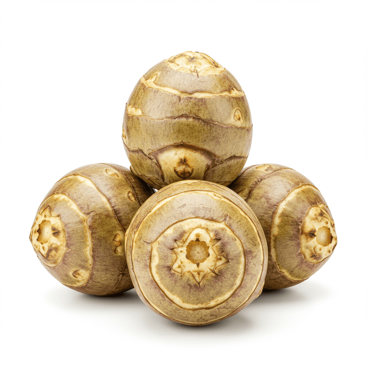 jerusalem artichoke