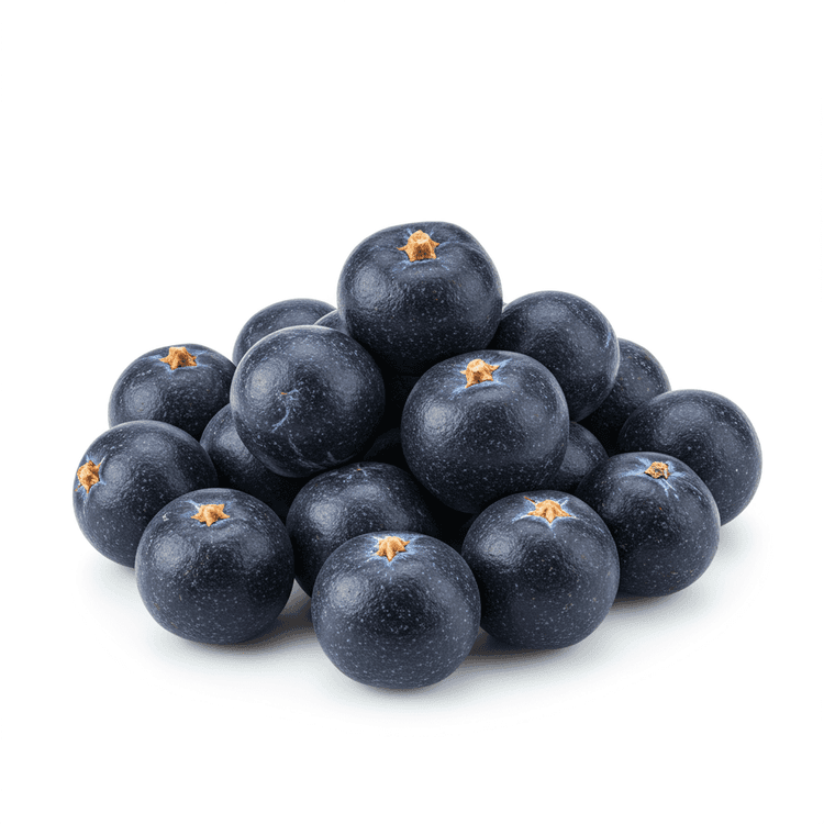 juniper berry