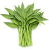 kangkong (water spinach)