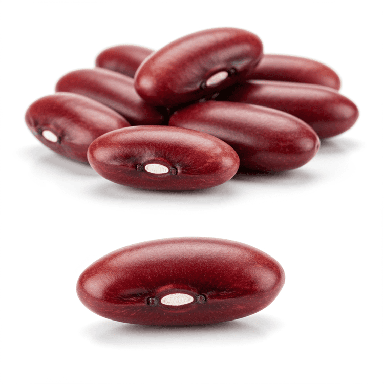 kidney bean