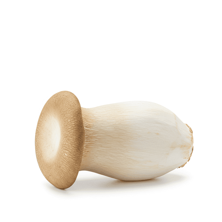 king oyster mushroom