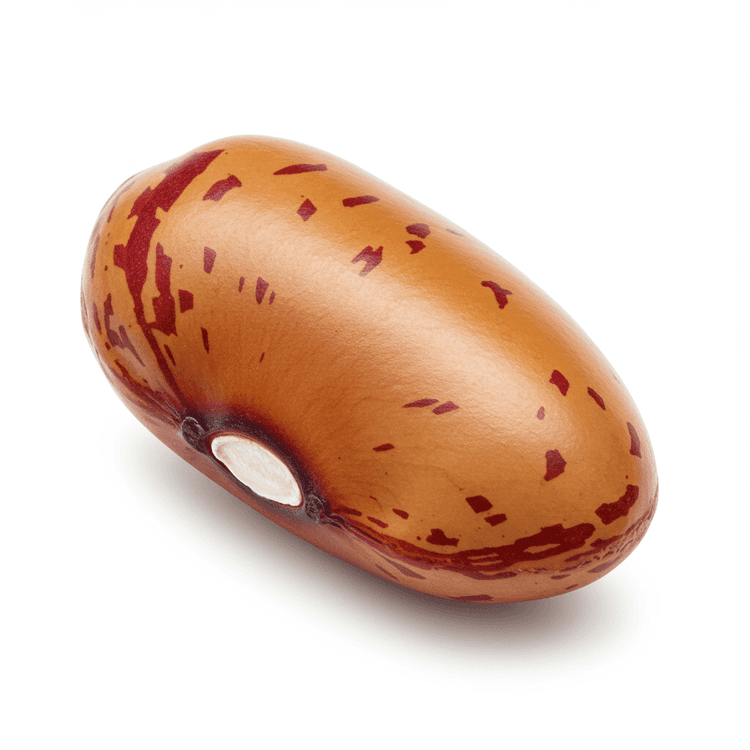 legume