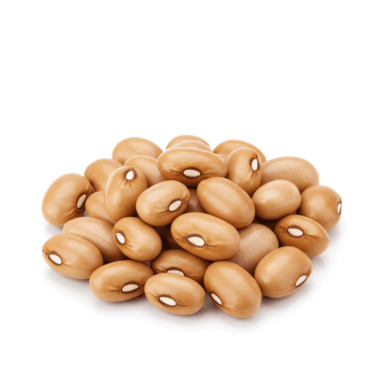 legume