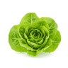 lettuce leaves