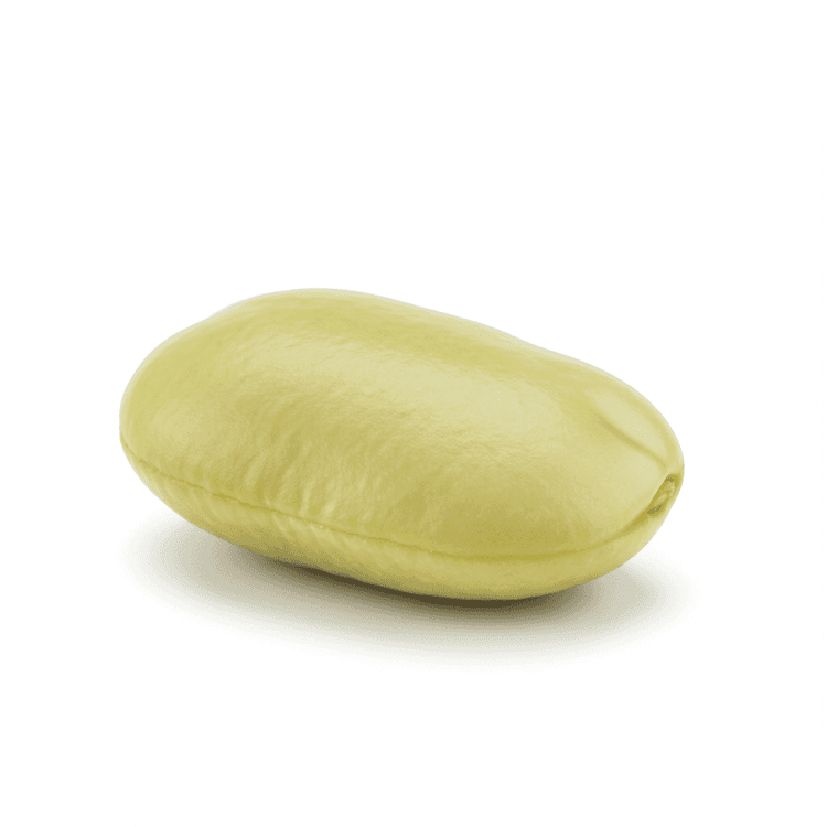 lima bean