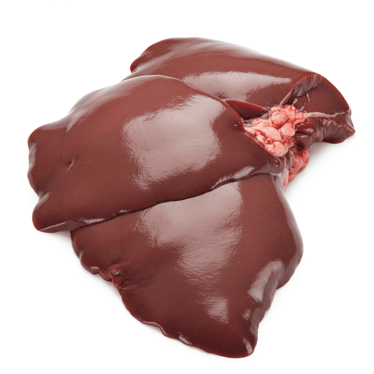 liver