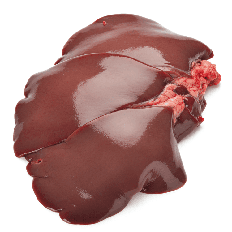 liver