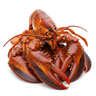 lobster meat